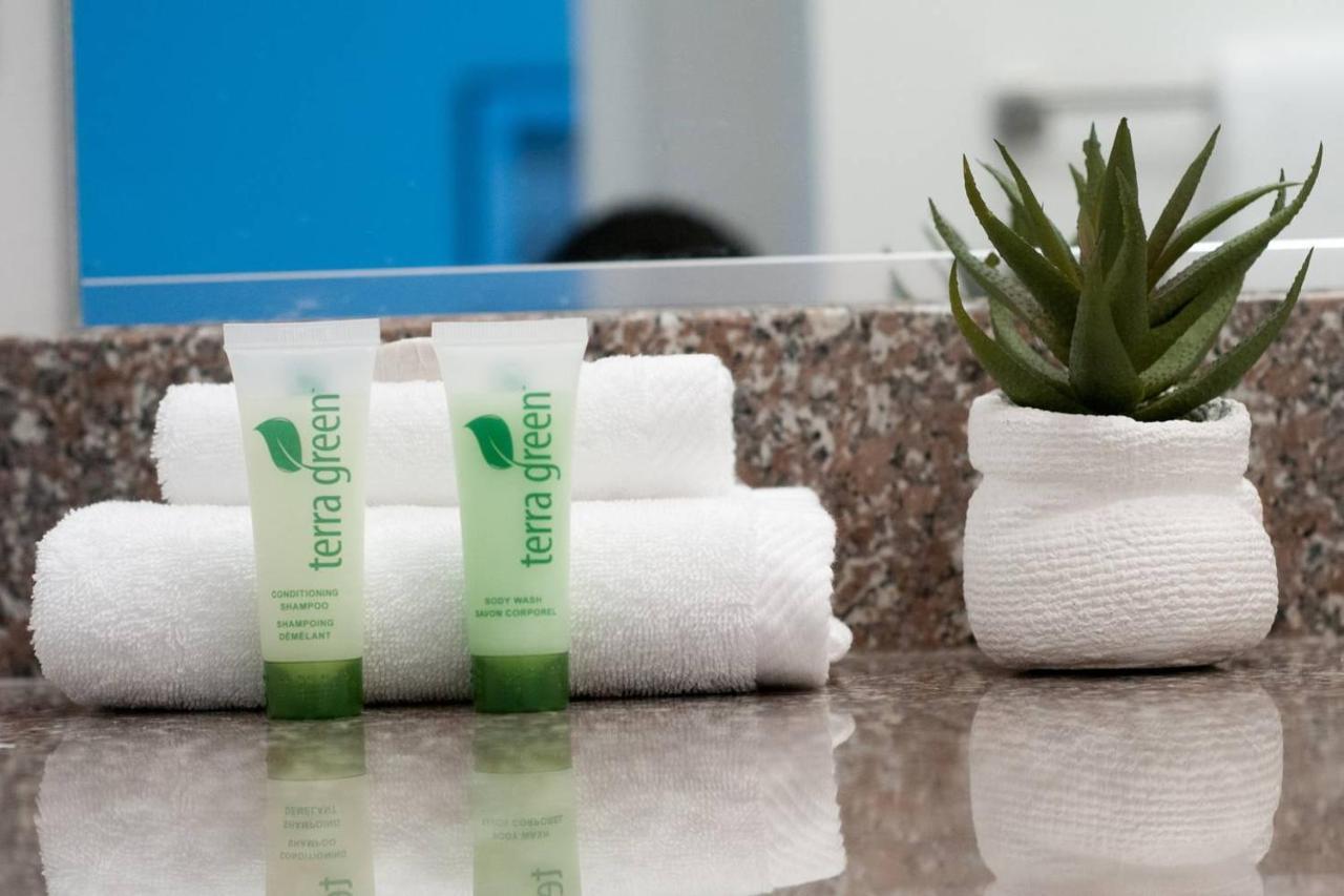 Abode Memphis - Downtown Madison Ave Apartment Ngoại thất bức ảnh
